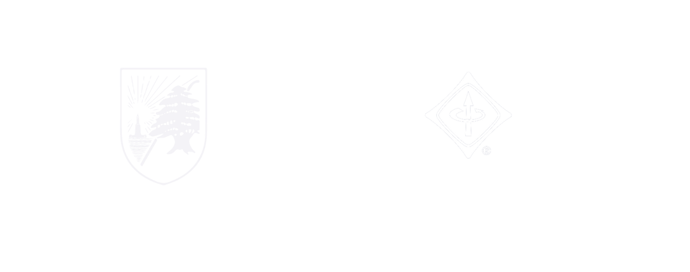 IEEE Logo